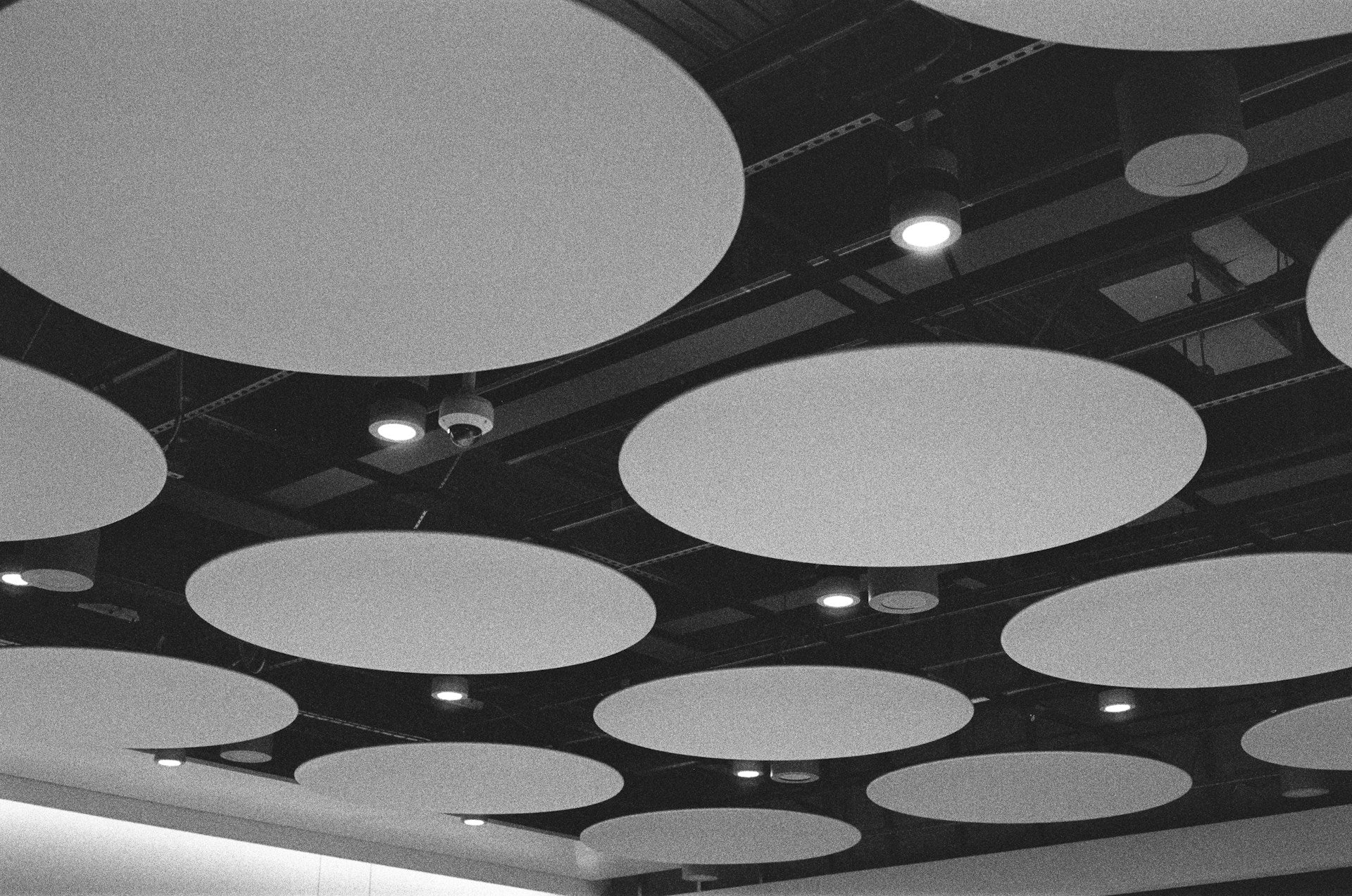 How Ceiling Panels Improve Sound in Shared Spaces | Advanced Acoustics