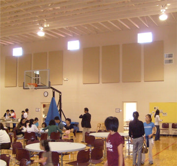 SoundControl Acoustic Panel 2ft by 4ft - Advanced Acoustics